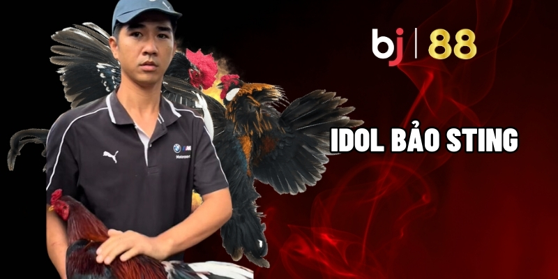 Idol Báo Sting - Chiến Thần Trường Gà Với Những Kèo Đỉnh Cao 1 Idol Báo Sting